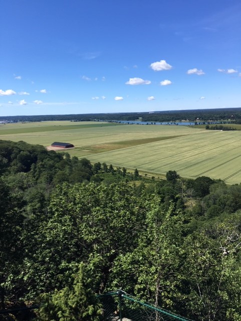 Foto: Kjell Gunnar Brolin 