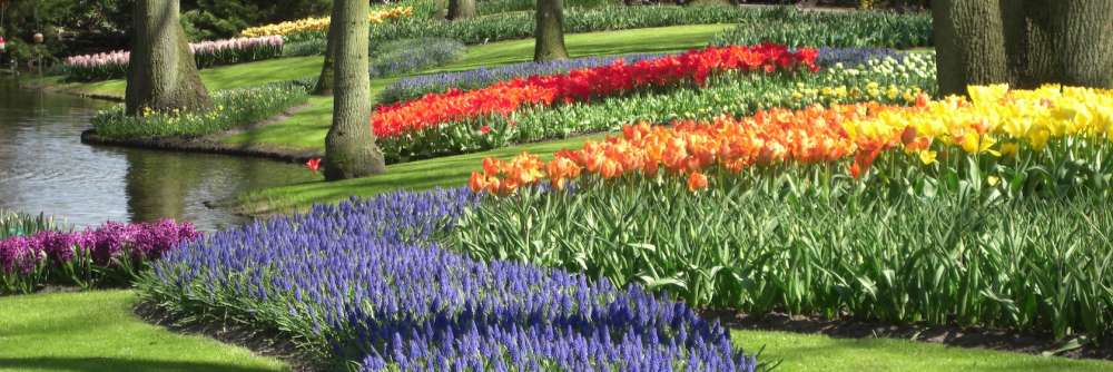 keukenhof3ami.jpg